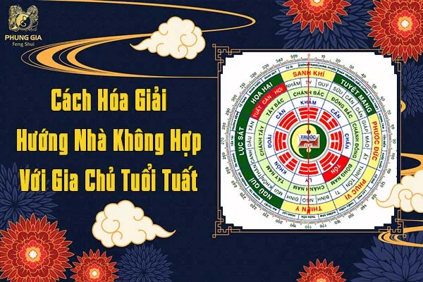 Cách Hóa Giải Hướng Nhà Không Hợp Với Gia Chủ Tuổi Tuất