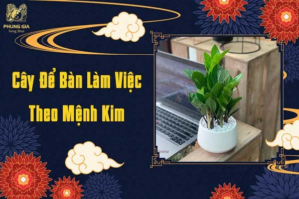 Cây Để Bàn Làm Việc Theo Mệnh Kim