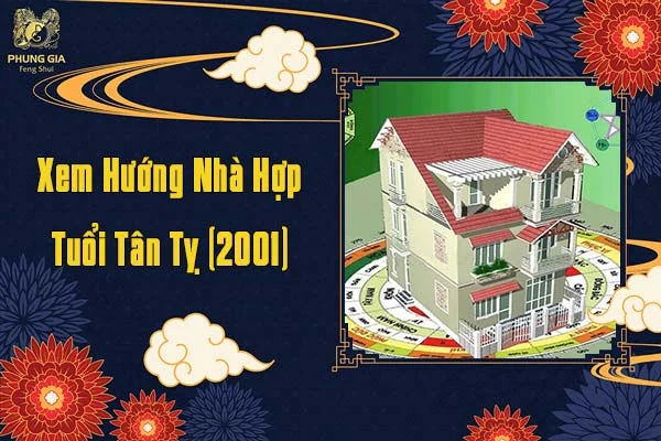 Xem Hướng Nhà Tuổi Tân Tỵ