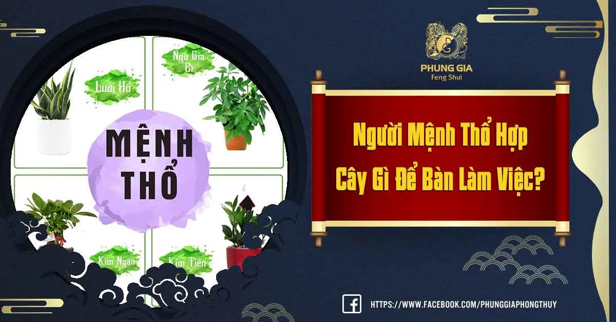 Bật Mí Mệnh Thổ Hợp Cây Gì Để Bàn Làm Việc
