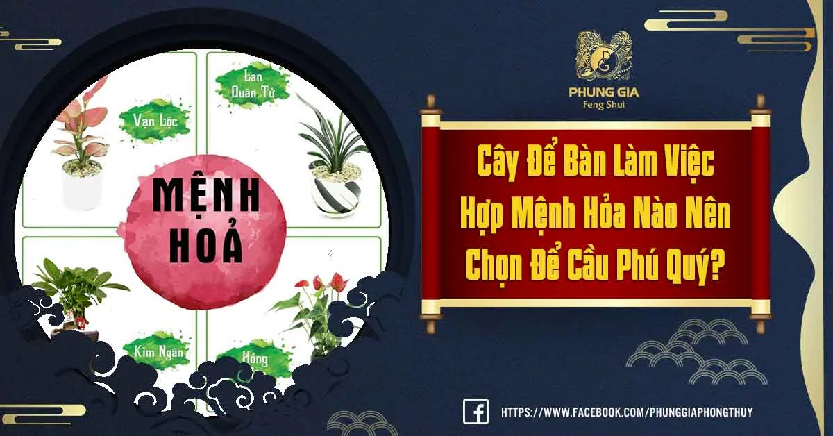 Top 10 Cây Để Bàn Làm Việc Hợp Mệnh Hỏa Nên Tham Khảo