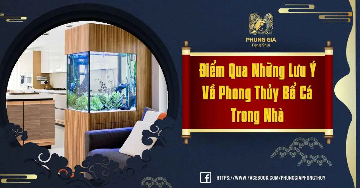 Phong Thủy Bể Cá Trong Nhà Và Ý Nghĩa Đằng Sau Đó