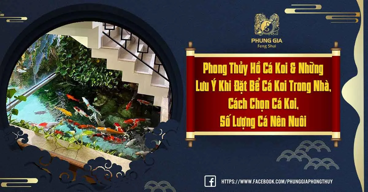 Phong Thủy Hồ Cá Koi Rước Lộc Vào Nhà