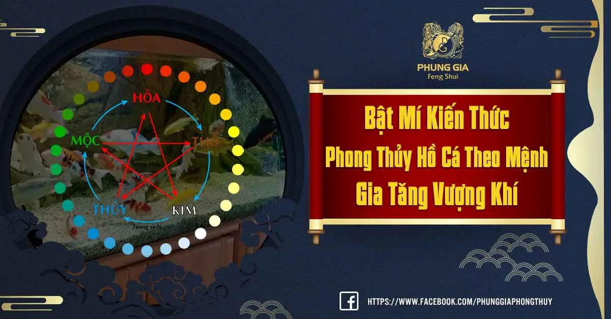 Hướng Dẫn Về Thiết Kế Phong Thuỷ Hồ Cá Theo Mệnh Gia Tăng Vượng Khí
