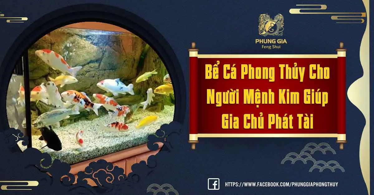 Thông Tin Đầy Đủ Về Bể Cá Phong Thủy Cho Người Mệnh Kim
