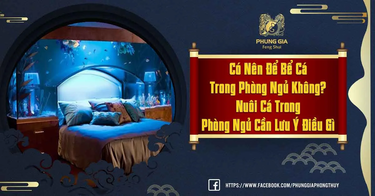 Nuôi Cá Trong Phòng Ngủ Và Những Điều Cần Chú Ý