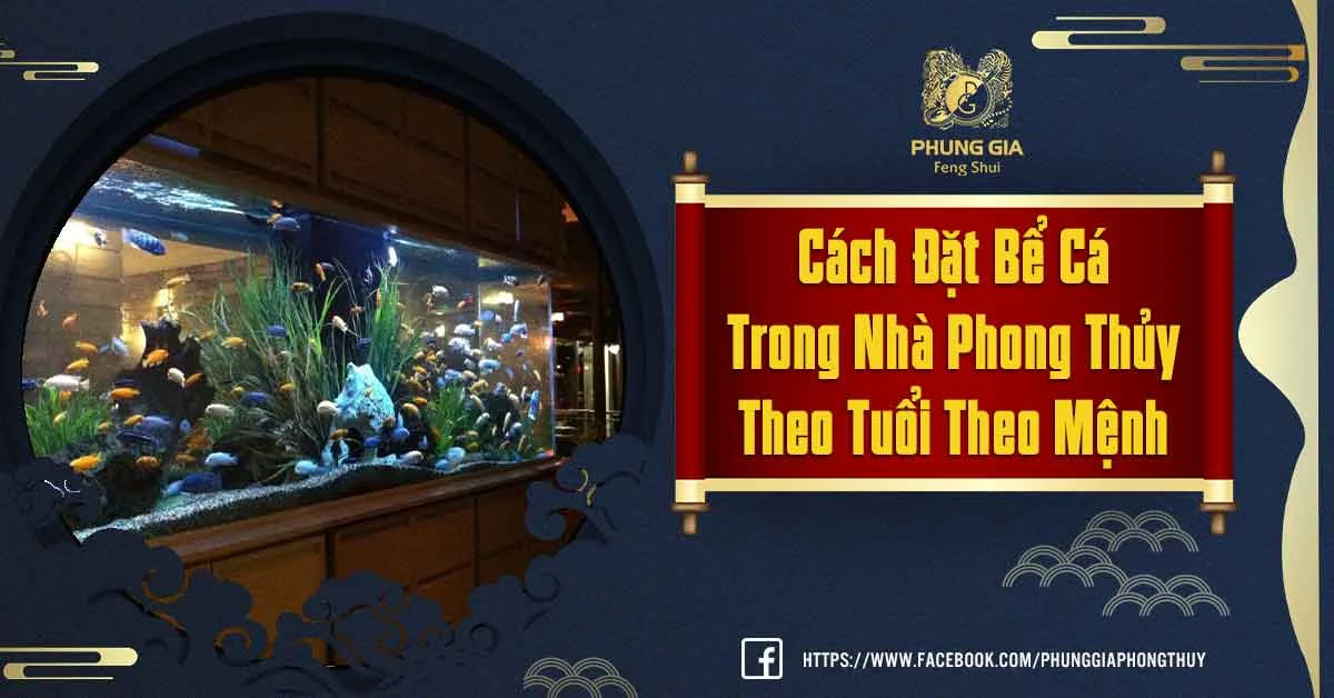 Cách Đặt Bể Cá Trong Nhà Theo Phong Thủy Hóa Giải Vận Xui