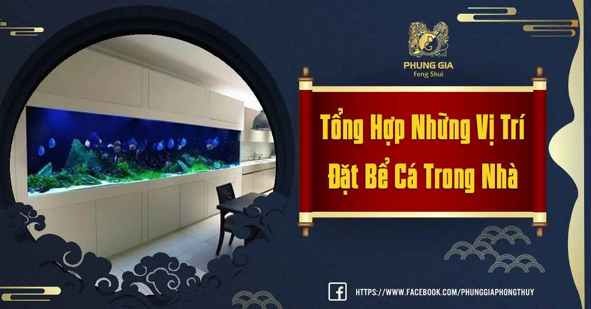 Những Vị Trí Đặt Bể Cá Trong Nhà Thu Hút Tài Lộc