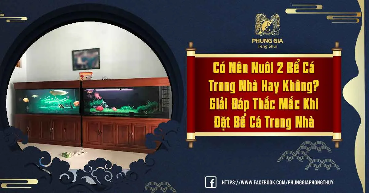 Giải Mã Ẩn Số Có Nên Nuôi 2 Bể Cá Trong Nhà Không?