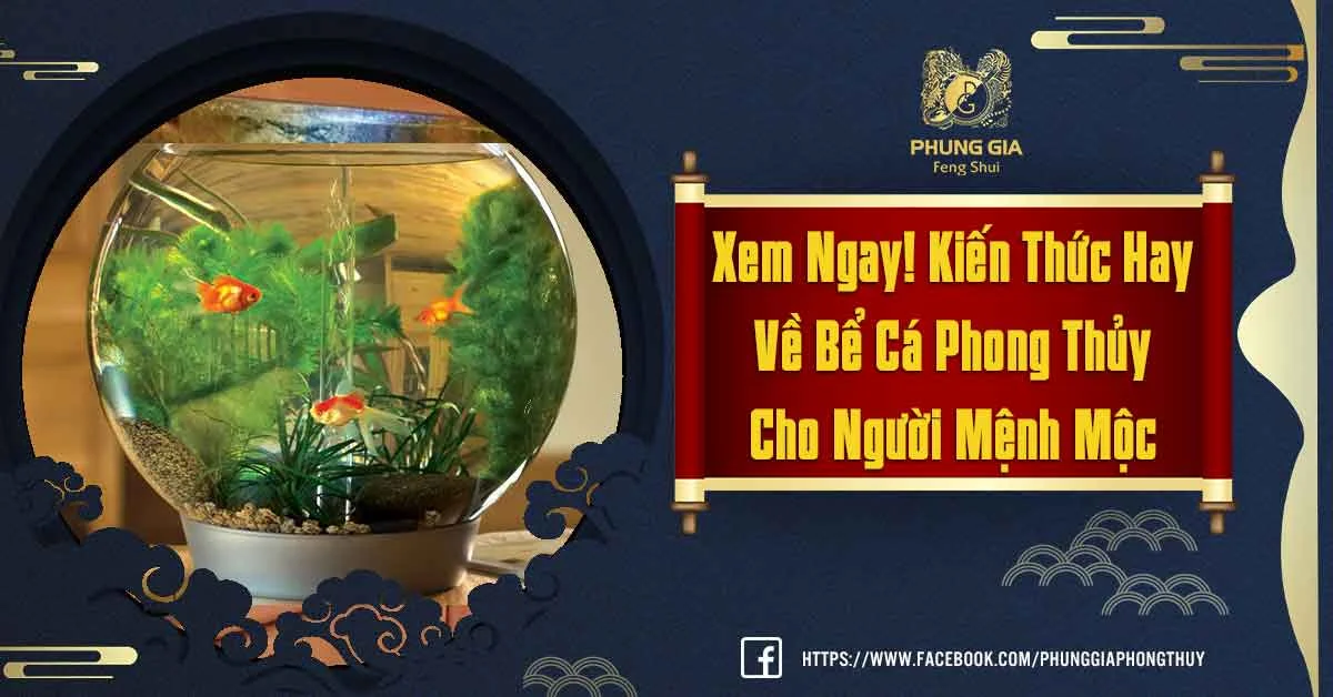 Tư Vấn Về Bể Cá Phong Thủy Cho Người Mệnh Mộc Chuẩn Xác Nhất