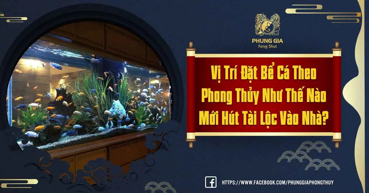 Những Vị Trí Đặt Bể Cá Theo Phong Thủy Giúp Thu Hút Tài Lộc Vào Nhà Hiệu Quả