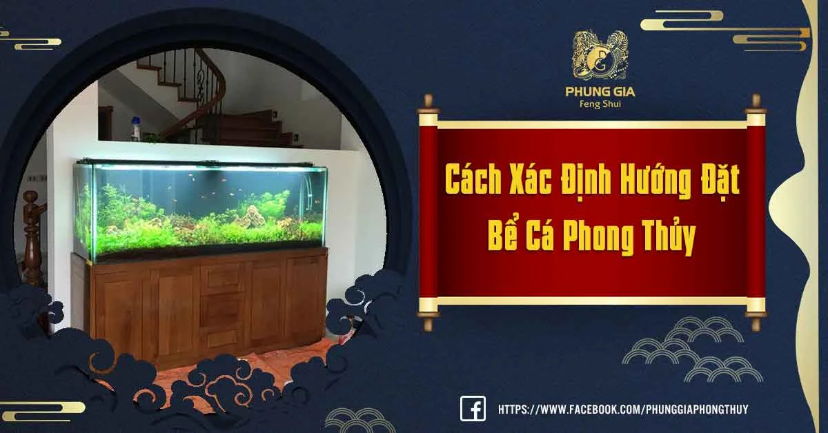 Xác Định Hướng Đặt Bể Cá Phong Thủy Theo Tuổi Và Mệnh Tiếp Thêm Vận May