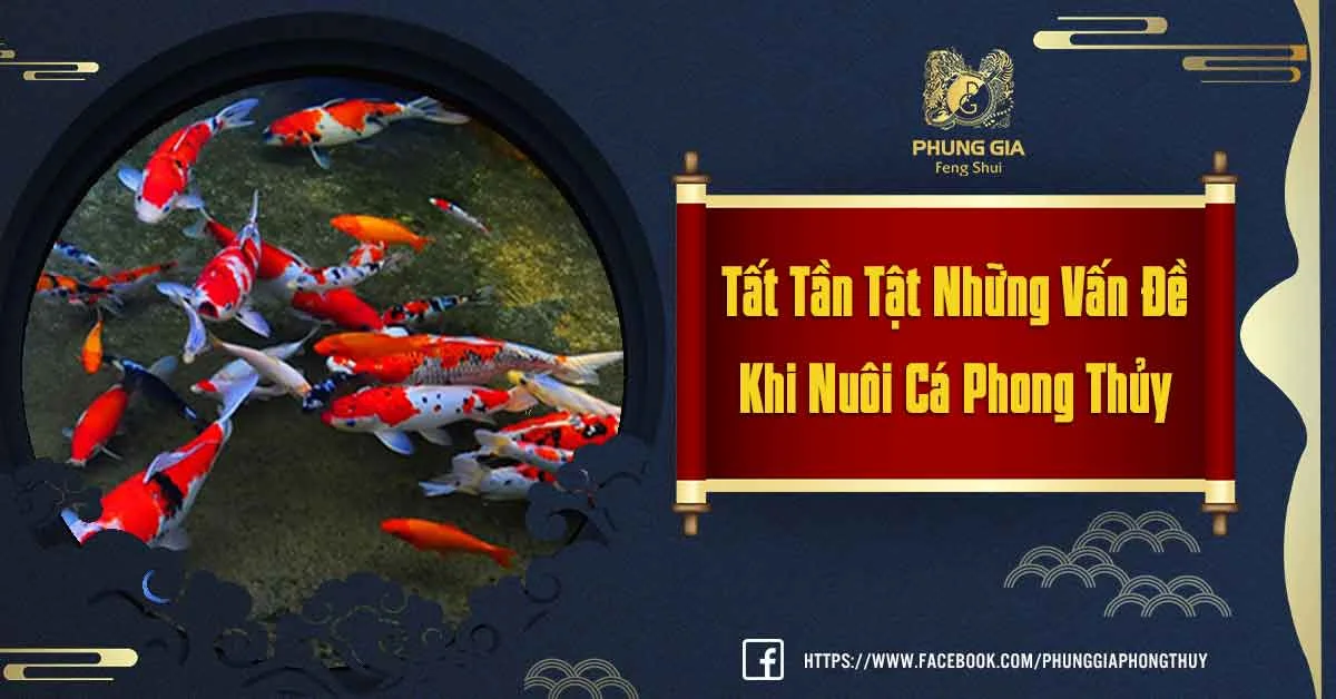 Chia Sẻ Nuôi Cá Phong Thủy Hợp Mệnh Chính Xác?
