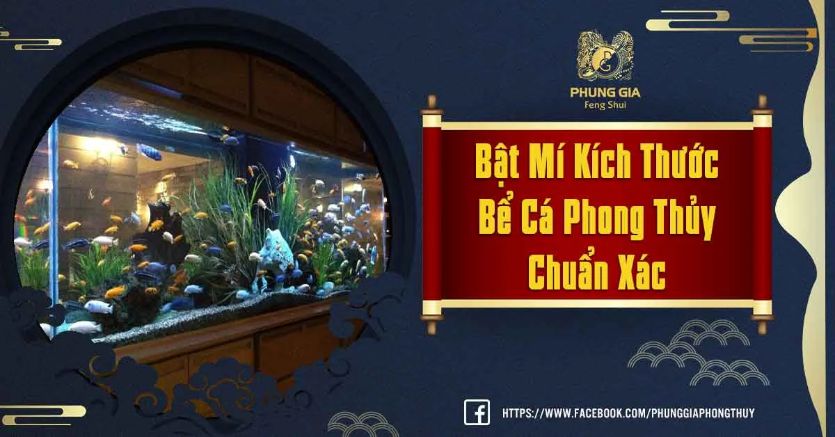 Kích Thước Bể Cá Phong Thủy Có Ảnh Hưởng Đến Tài Lộc Không?