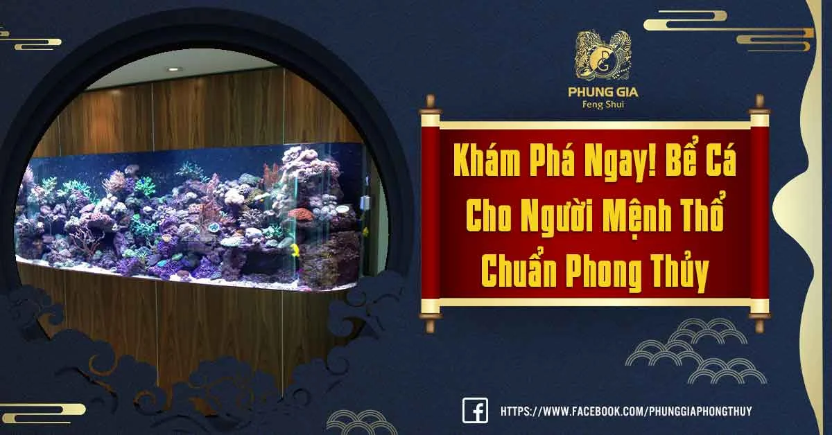 Những Điều Cần Biết Về Bể Cá Cho Người Mệnh Thổ Chuẩn Phong Thủy