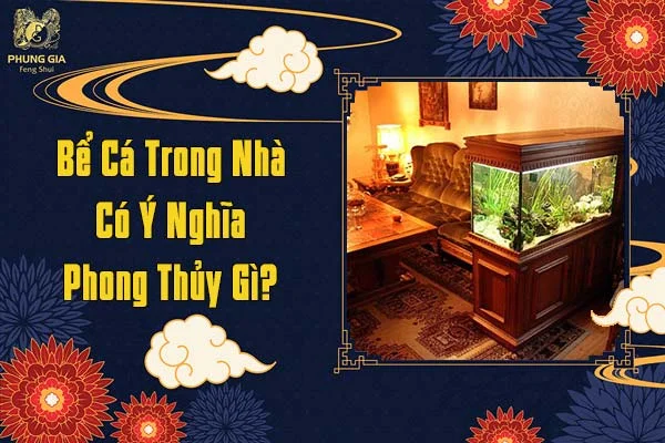 Bể Cá Trong Nhà Có Ý Nghĩa Phong Thủy