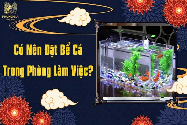 Có Nên Đặt Bể Cá Trong Phòng Làm Việc