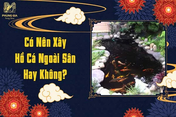 Có Nên Xây Hồ Cá Ngoài Sân Hay Không
