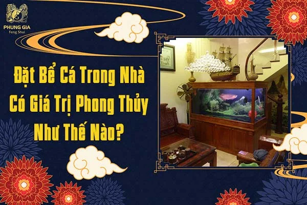 Đặt Bể Cá Trong Nhà Có Giá Trị Phong Thủy Như Thế Nào