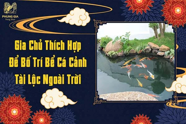 Gia Chủ Thích Hợp Để Bố Trí Bể Cá Cảnh Tài Lộc Ngoài Trời
