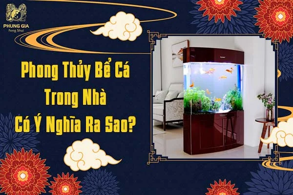 Phong Thủy Bể Cá Trong Nhà Có Ý Nghĩa Ra Sao