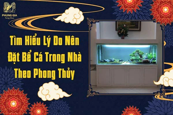 Tìm Hiểu Lý Do Nên Đặt Bể Cá Trong Nhà Theo Phong Thủy