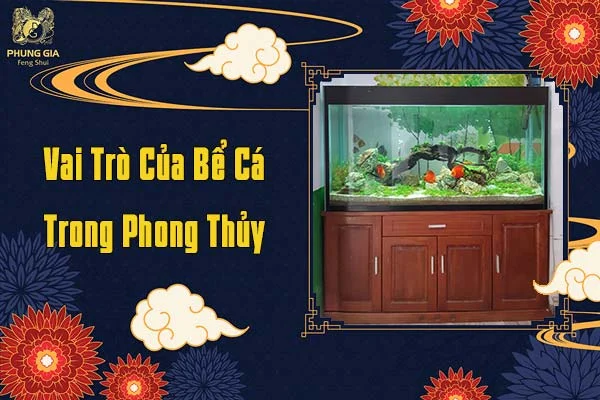 Vai Trò Của Bể Cá Trong Phong Thủy