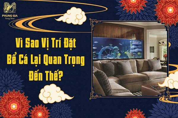 Vì Sao Vị Trí Đặt Bể Cá Lại Quan Trọng Đến Thế