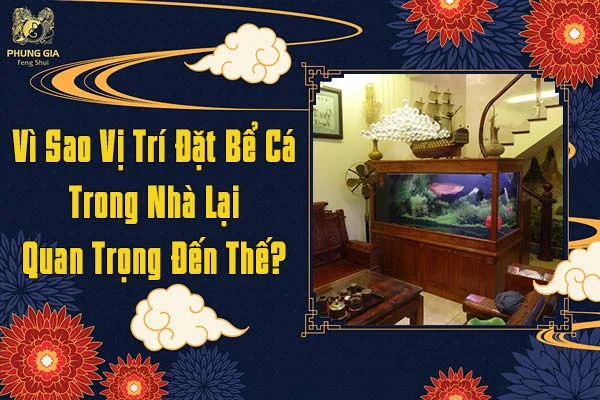 Vị Trí Đặt Bể Cá Trong Nhà Lại Quan Trọng Đến Thế