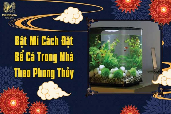 Bật Mí Cách Đặt Bể Cá Trong Nhà Theo Phong Thủy