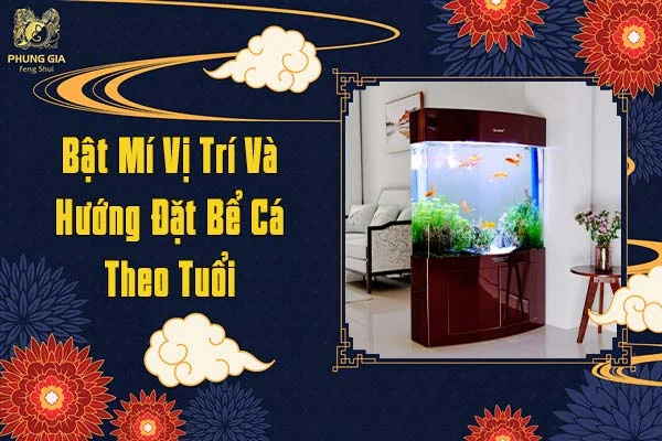 Bật Mí Vị Trí Và Hướng Đặt Bể Cá Theo Tuổi