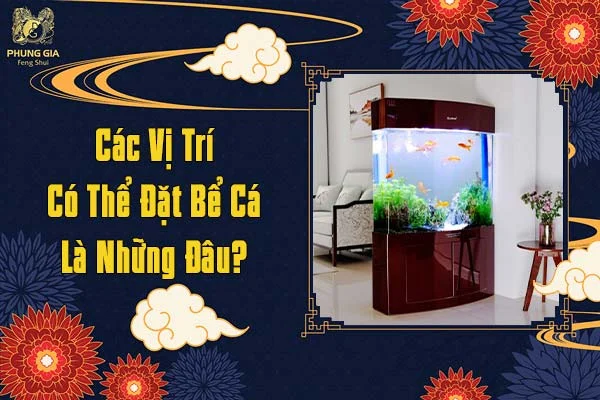 Các Vị Trí Có Thể Đặt Bể Cá Là Những Đâu