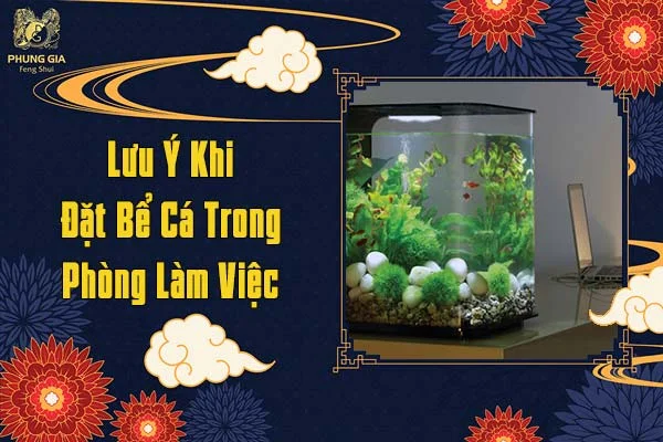 Lưu Ý Khi Đặt Bể Cá Trong Phòng Làm Việc