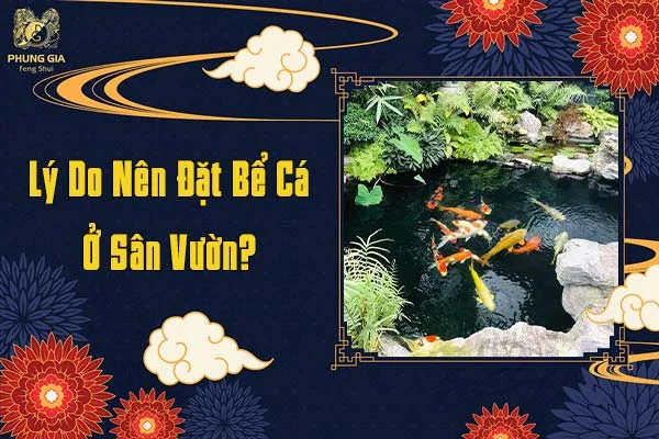 Lý Do Nên Đặt Bể Cá Ở Sân Vườn