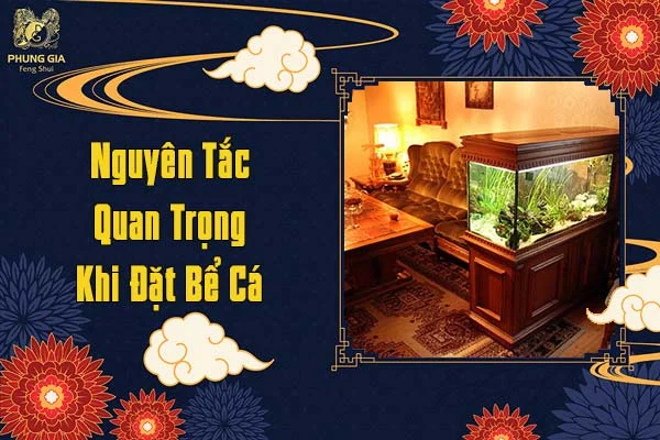 Nguyên Tắc Quan Trọng Khi Đặt Bể Cá