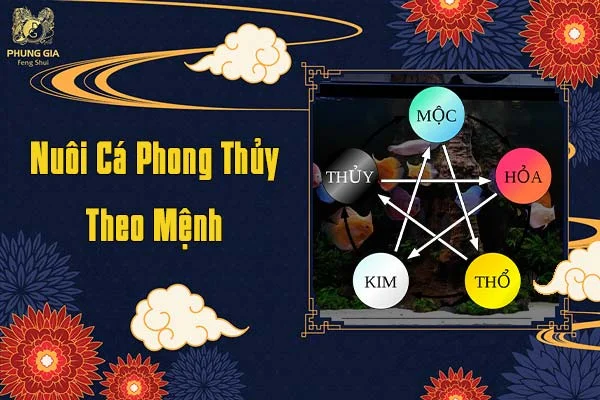 Nuôi Cá Phong Thủy Theo Mệnh