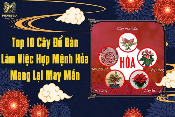 Top 10 Cây Để Bàn Làm Việc Hợp Mệnh Hỏa Mang Lại May Mắn