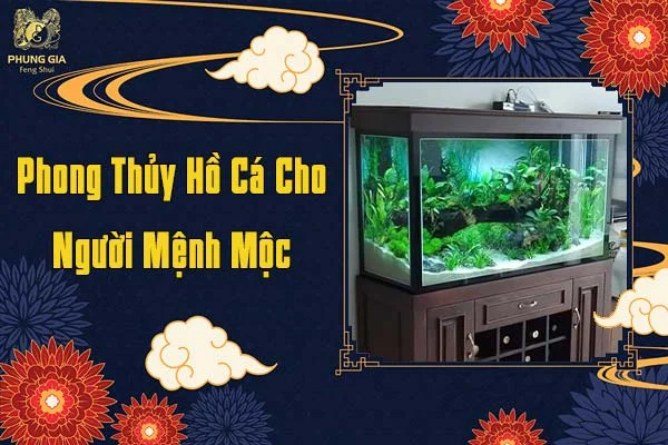 Phong Thủy Hồ Cá Cho Người Mệnh Mộc