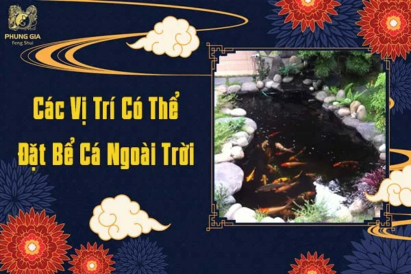 Các Vị Trí Có Thể Đặt Bể Cá Ngoài Trời