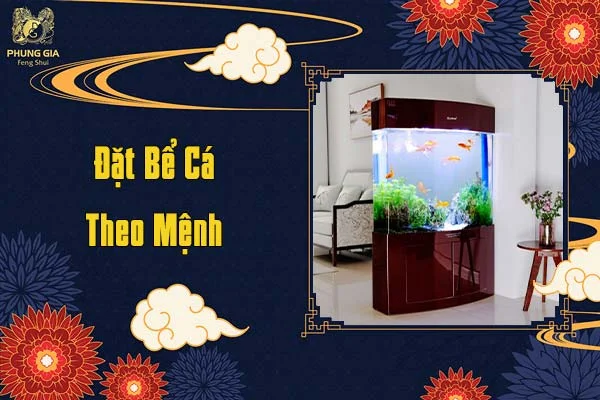 Đặt Bể Cá Theo Mệnh