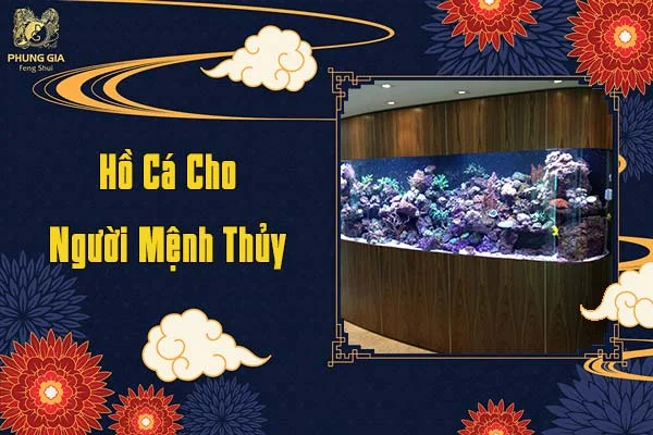 Hồ Cá Cho Người Mệnh Thủy