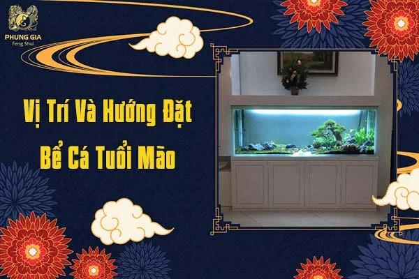 Vị Trí Và Hướng Đặt Bể Cá Tuổi Mão