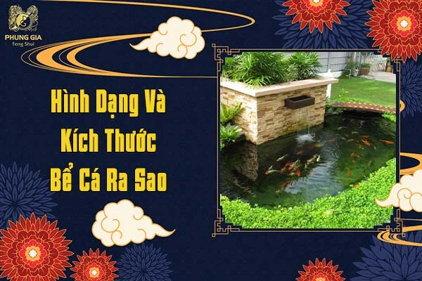 Hình Dáng Và Kích Thước Bể Cá Ra Sao