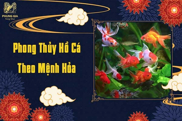 Phong Thủy Hồ Cá Theo Mệnh Hỏa