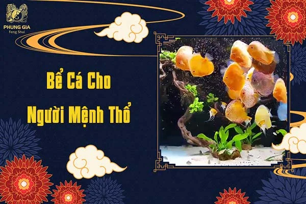 Bể Cá Cho Người Mệnh Thổ