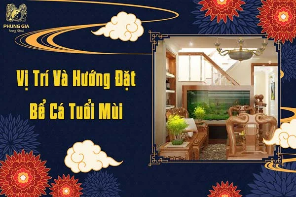Vị Trí Và Hướng Đặt Bể Cá Tuổi Mùi