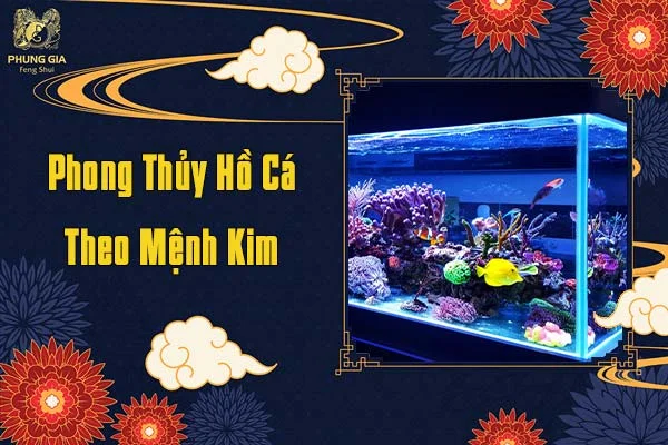 Phong Thủy Hồ Cá Theo Mệnh Kim