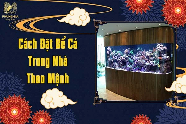Cách Đặt Bể Cá Trong Nhà Theo Mệnh