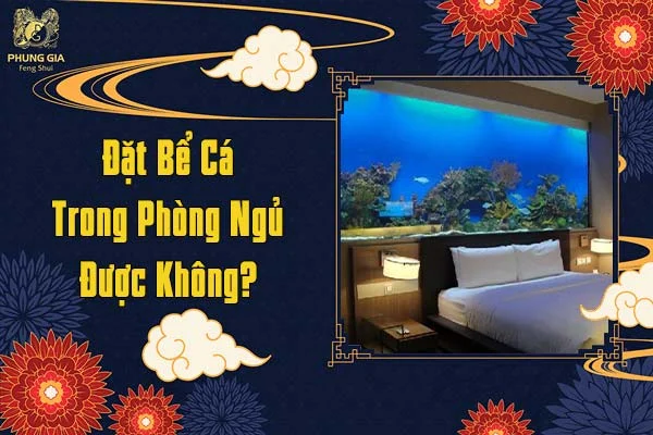 Đặt Bể Cá Trong Phòng Ngủ Được Không