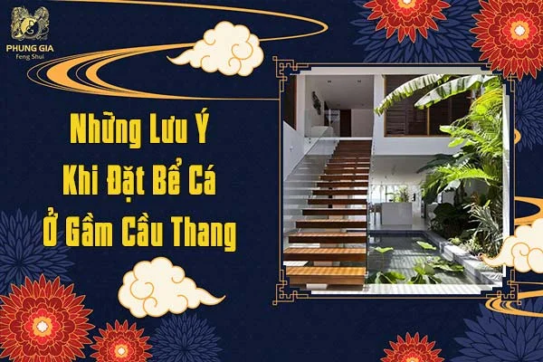 Những Lưu Ý Kho Đặt Bể Cá Ở Gầm Cầu Thang